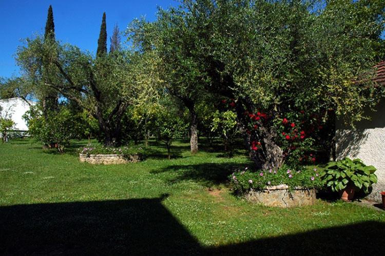 Corfu  Omirico Studios מראה חיצוני תמונה